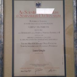 Diploma